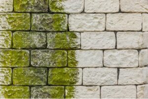 Groene aanslag verwijderen - C-Vin